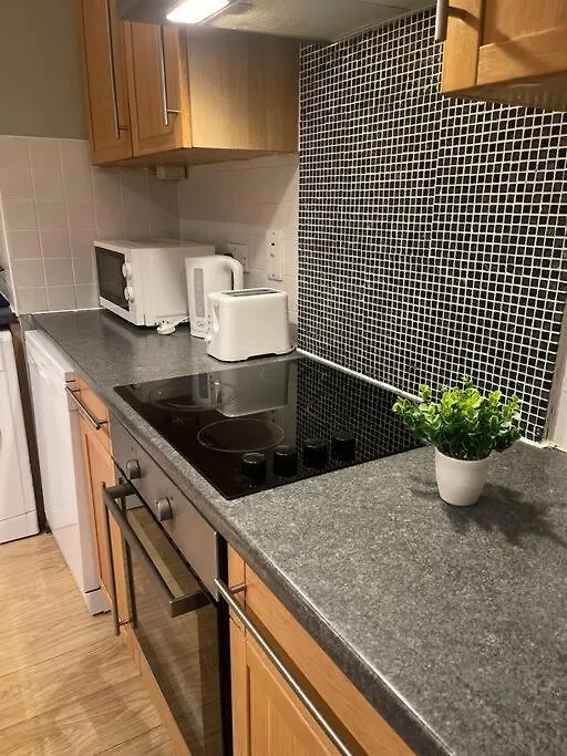 In Dublin'S Best Tourist Spot Temple Bar Fully Renovated Apartment